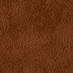 sample of aniline leather